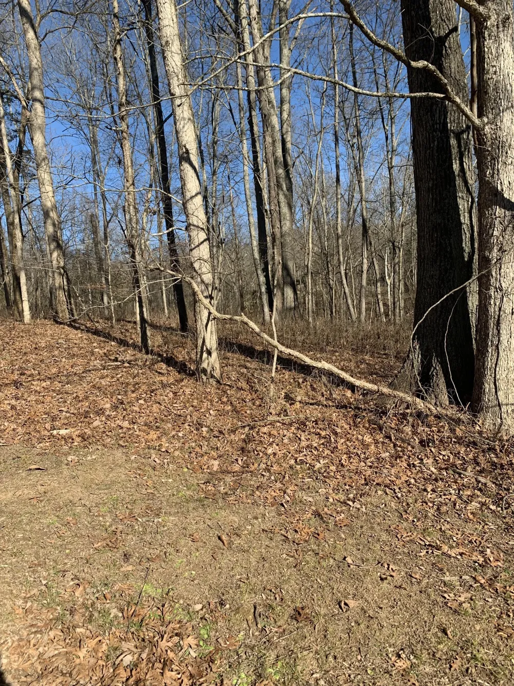 0 Pond Drive Gallatin, TN 37066