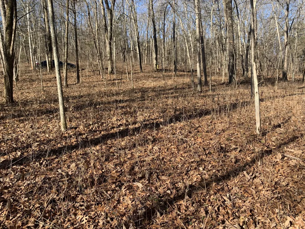 0 Pond Drive Gallatin, TN 37066