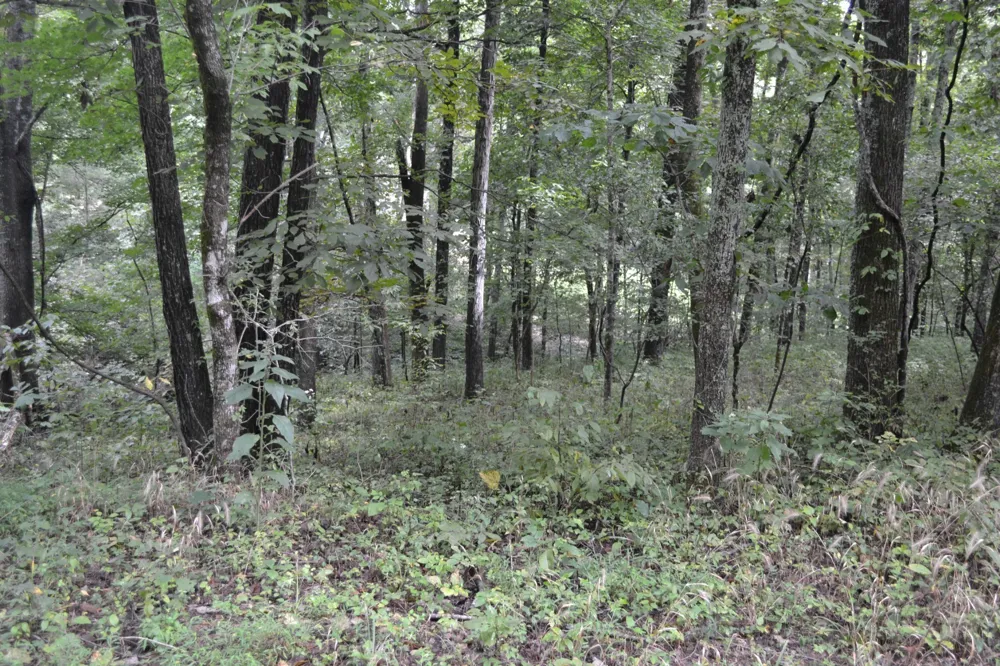 0 Pond Drive Gallatin, TN 37066