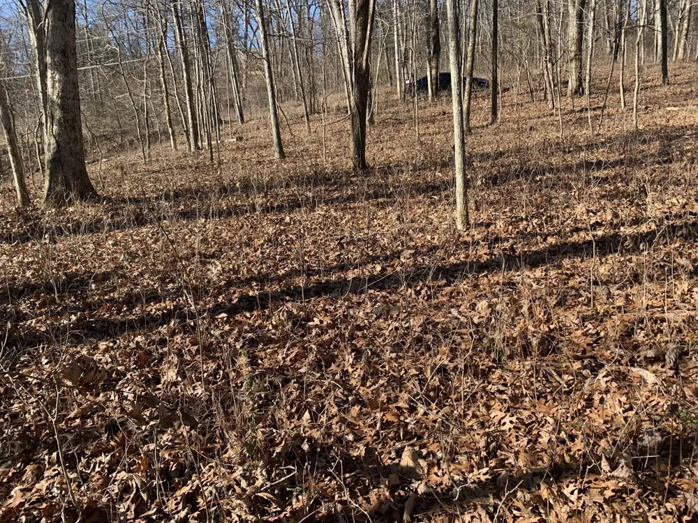 0 Pond Drive Gallatin, TN 37066