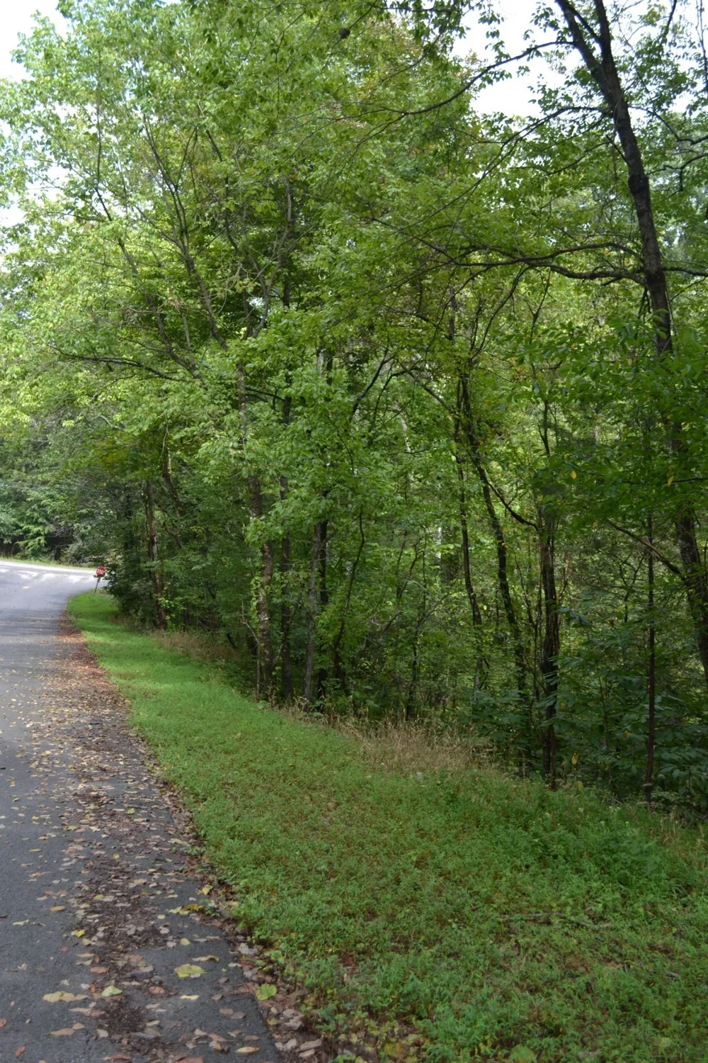 0 Pond Drive Gallatin, TN 37066