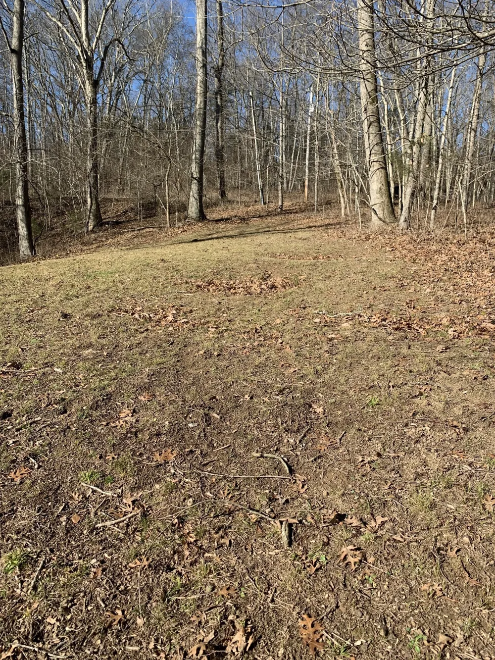 0 Pond Drive Gallatin, TN 37066