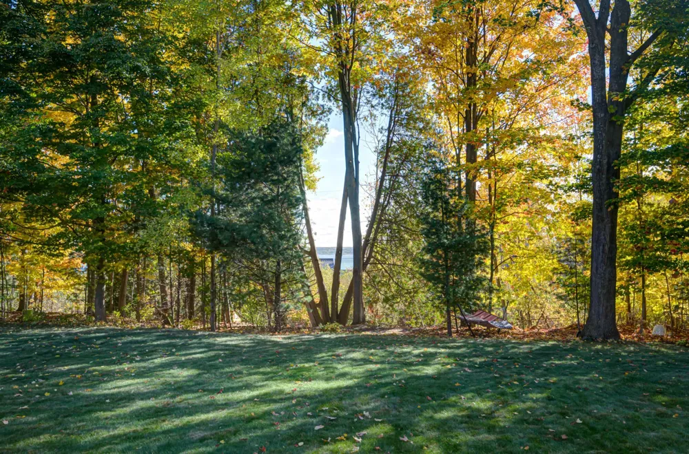 6436 Peregrin Court Peninsula Township, MI 49686