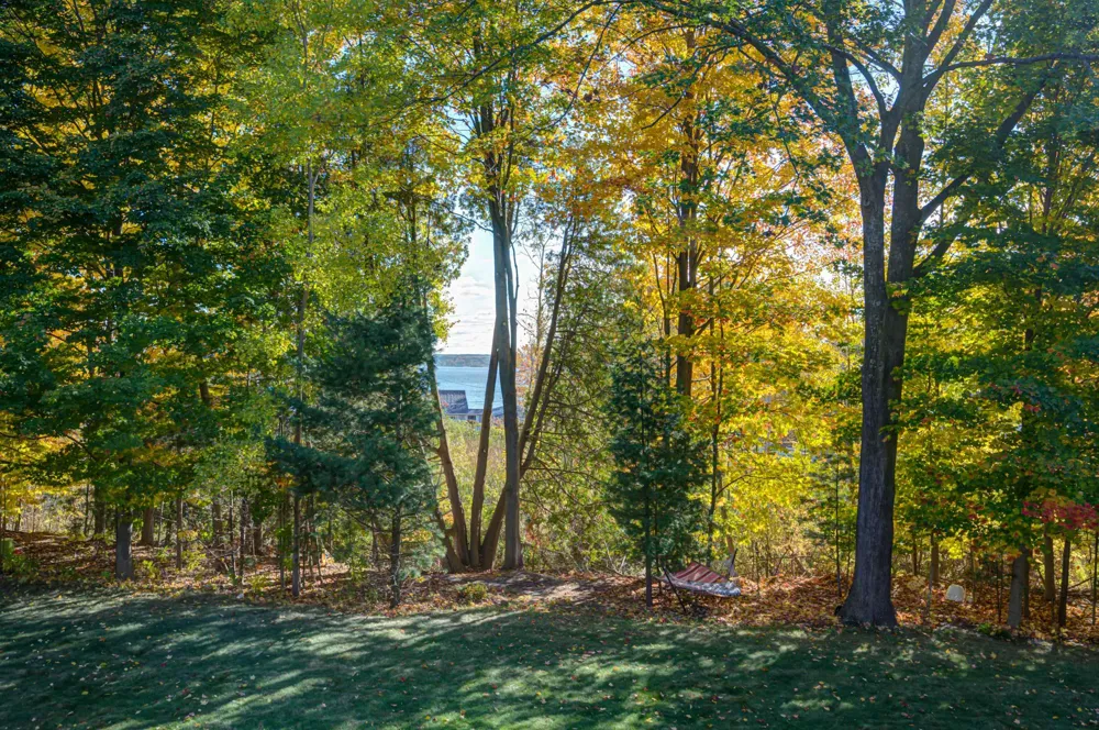 6436 Peregrin Court Peninsula Township, MI 49686