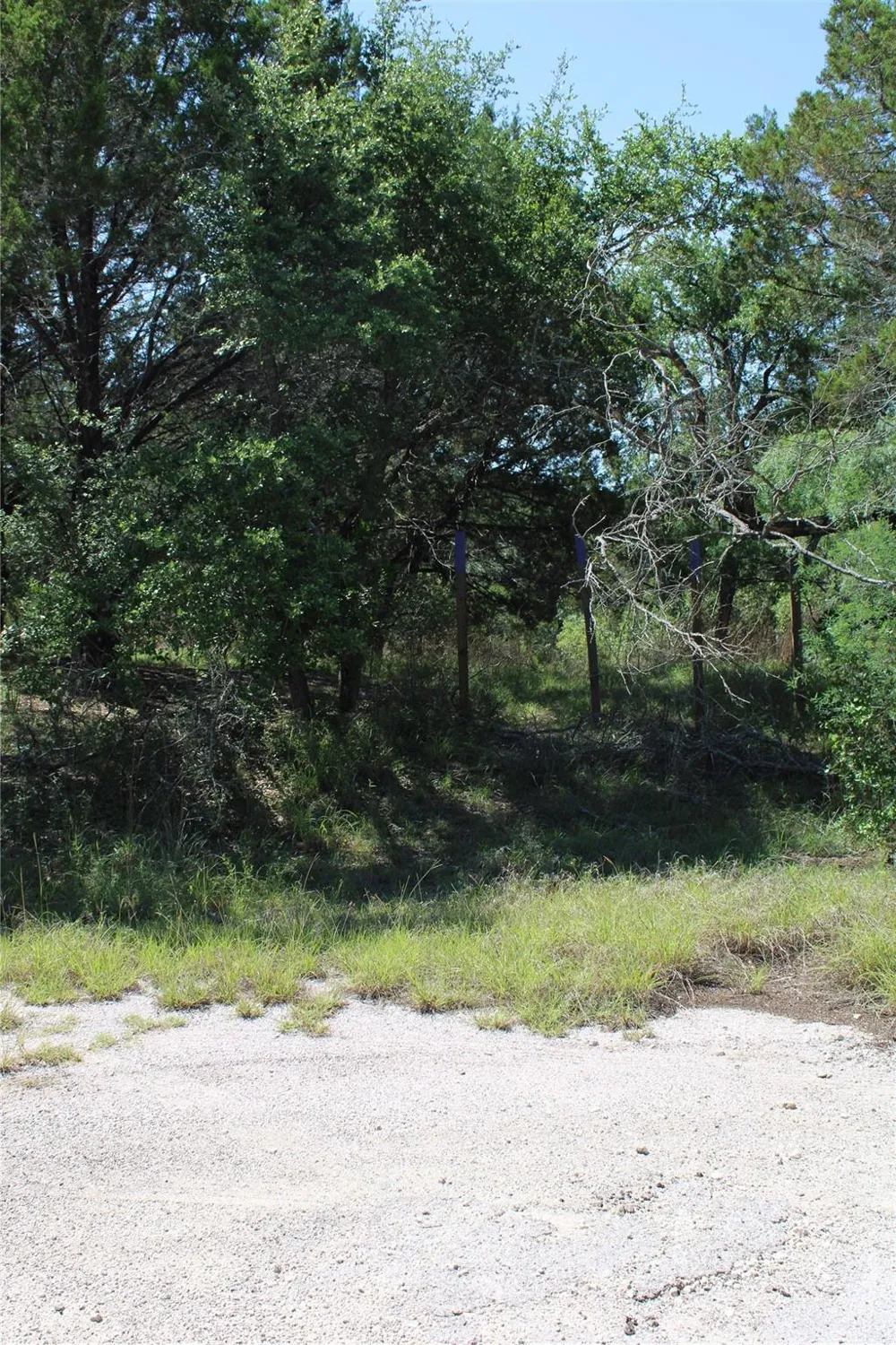8203 Cedar Glen Cove Leander, TX 78645