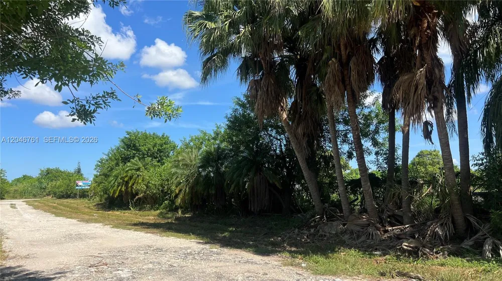 15820 SW 209th Ave Miami, FL 33187
