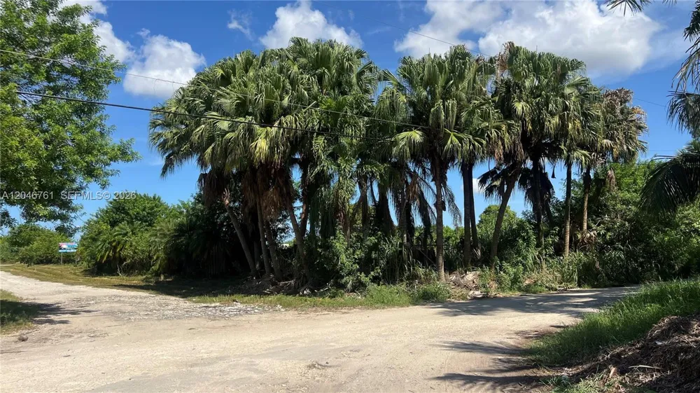 15820 SW 209th Ave Miami, FL 33187
