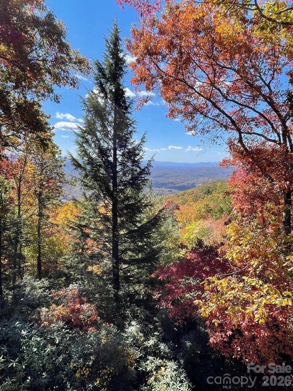 425 Flat Top Mountain Road Fairview, NC 28730