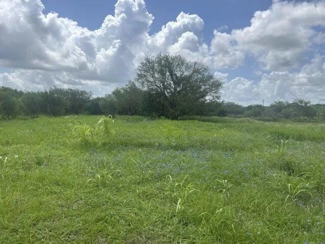 268 W Oaks Victoria, TX 77905