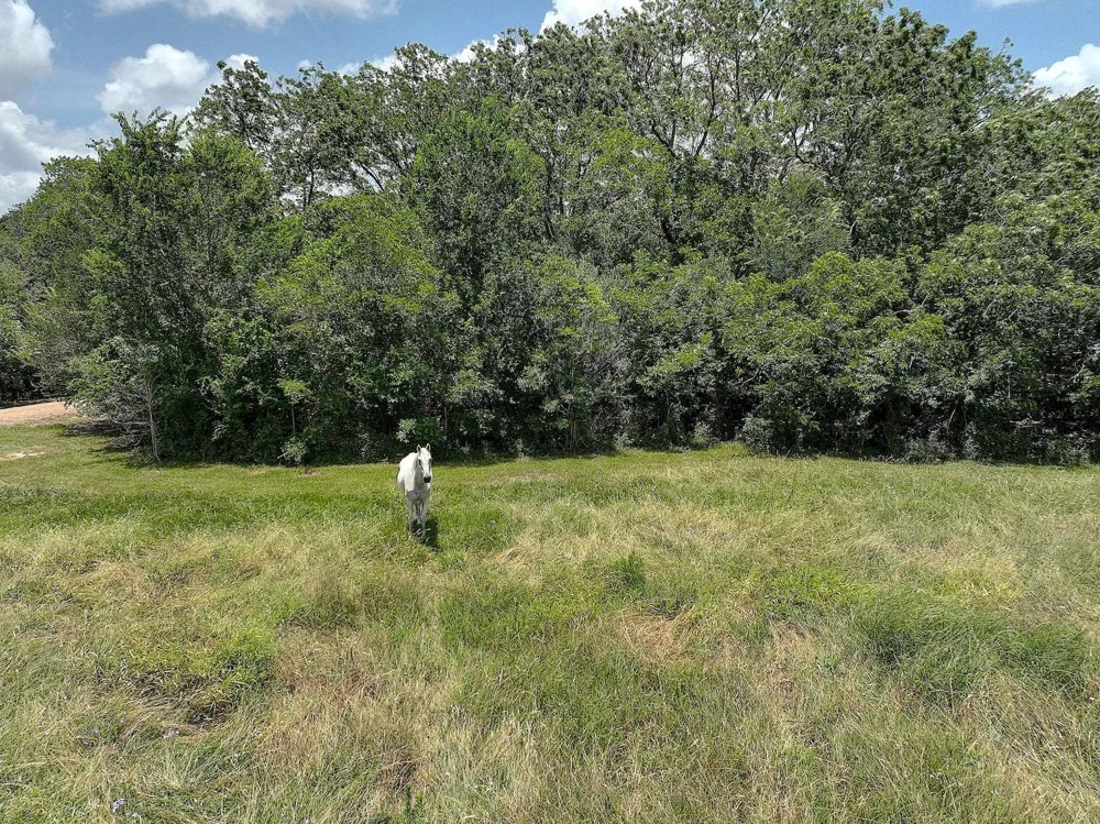 4838 Rocky Creek Road La Grange, TX 78945