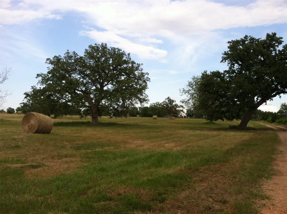 4838 Rocky Creek Road La Grange, TX 78945