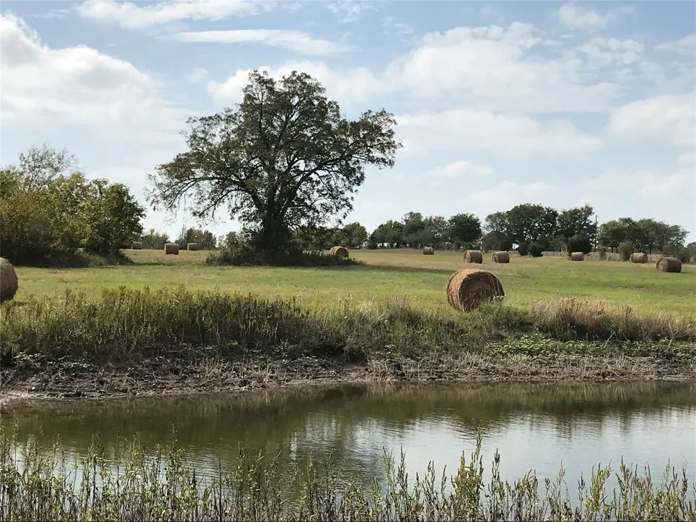 4838 Rocky Creek Road La Grange, TX 78945