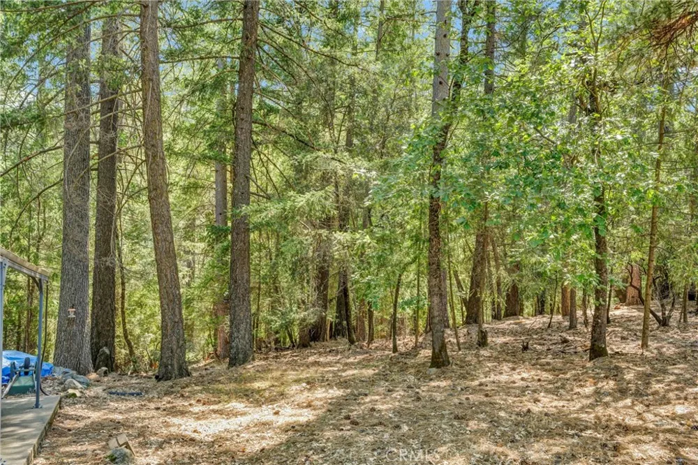 16635 Mountain View Drive Cobb, CA 95426
