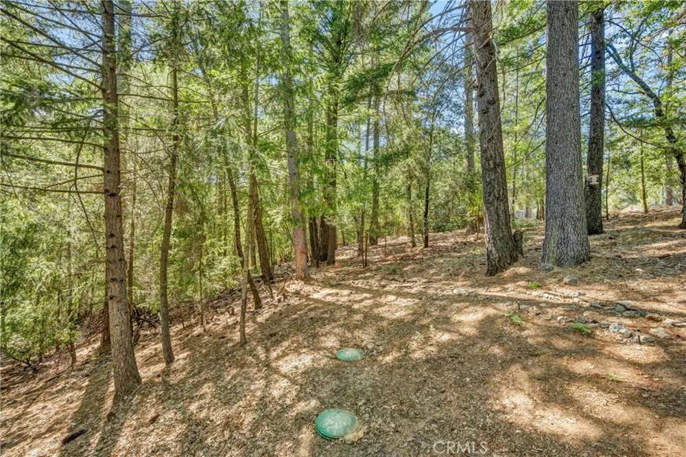 16635 Mountain View Drive Cobb, CA 95426