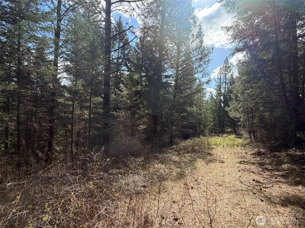111 TBD W West Curlew Lake Road Republic, WA 99166