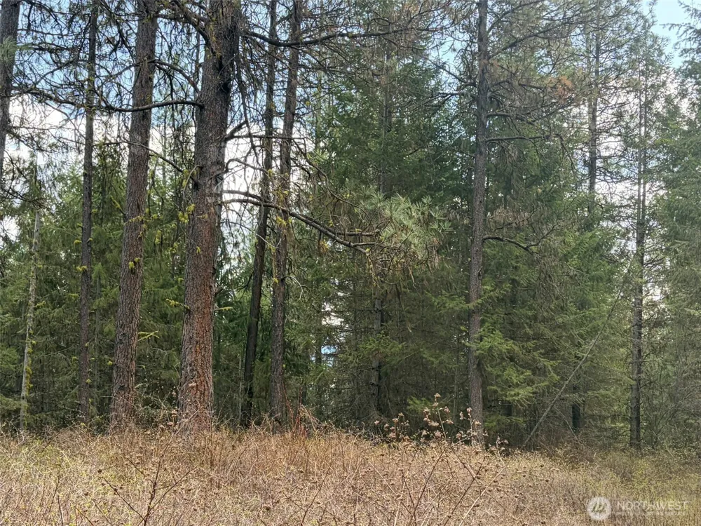 111 TBD W West Curlew Lake Road Republic, WA 99166