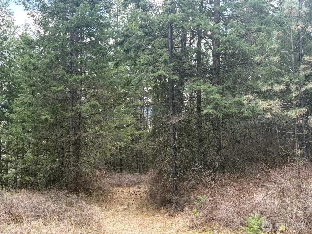 111 TBD W West Curlew Lake Road Republic, WA 99166