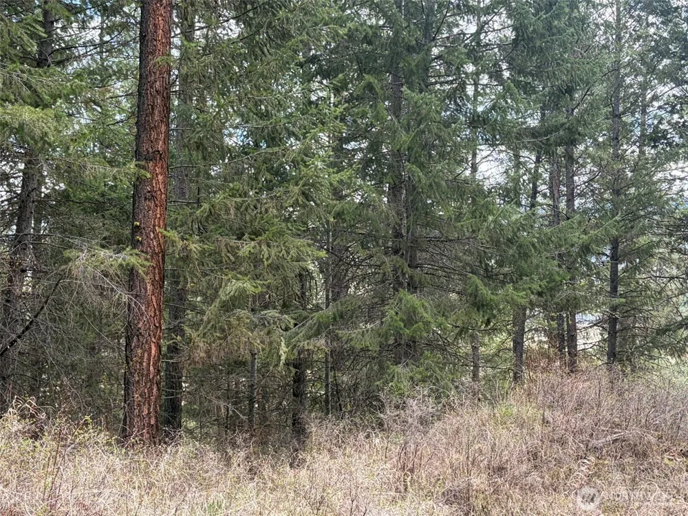 111 TBD W West Curlew Lake Road Republic, WA 99166