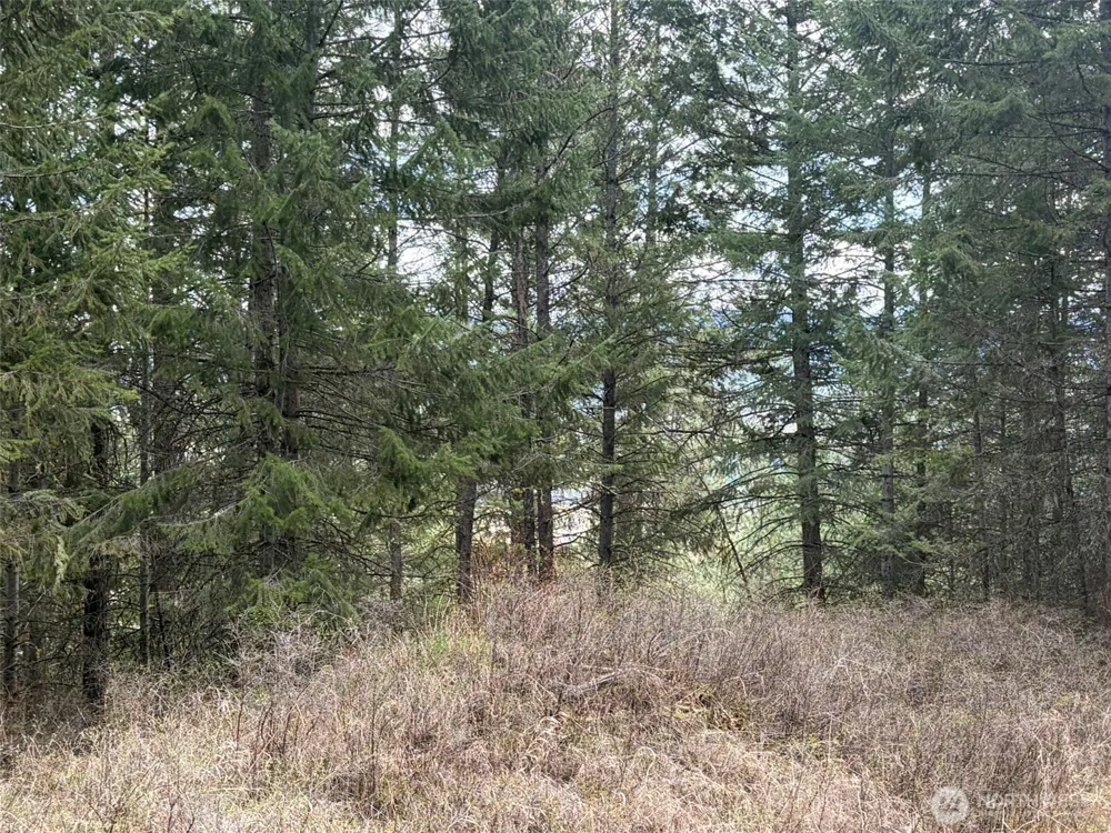 111 TBD W West Curlew Lake Road Republic, WA 99166