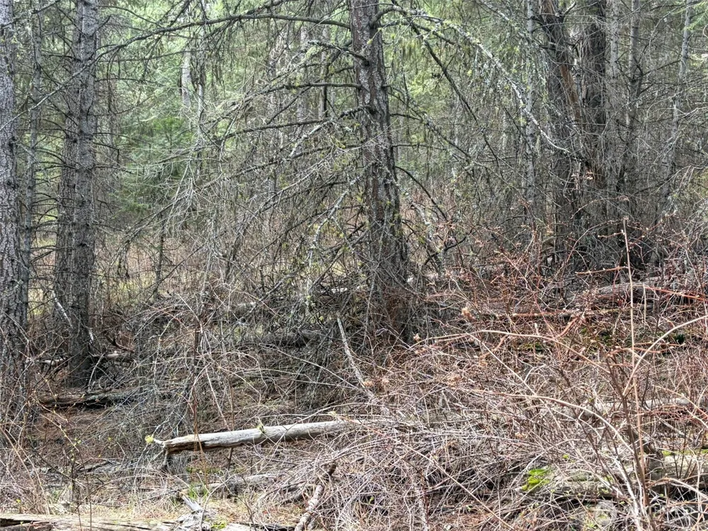 111 TBD W West Curlew Lake Road Republic, WA 99166
