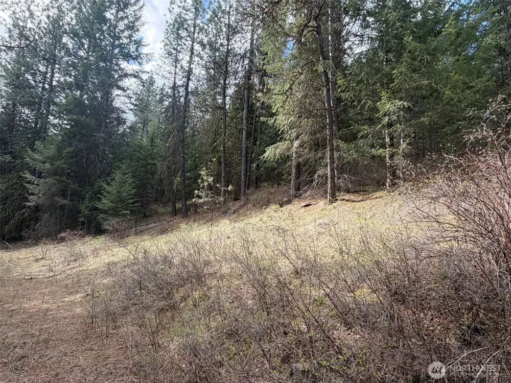 111 TBD W West Curlew Lake Road Republic, WA 99166