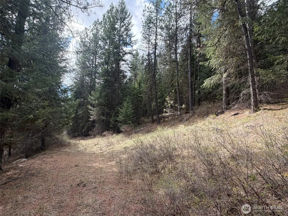 111 TBD W West Curlew Lake Road Republic, WA 99166