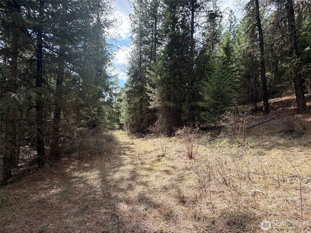 111 TBD W West Curlew Lake Road Republic, WA 99166
