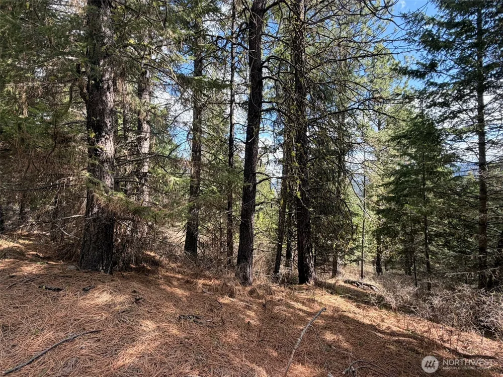 111 TBD W West Curlew Lake Road Republic, WA 99166