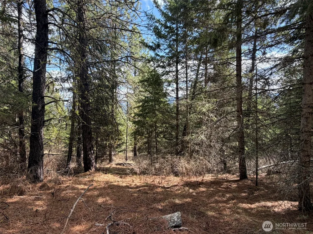 111 TBD W West Curlew Lake Road Republic, WA 99166