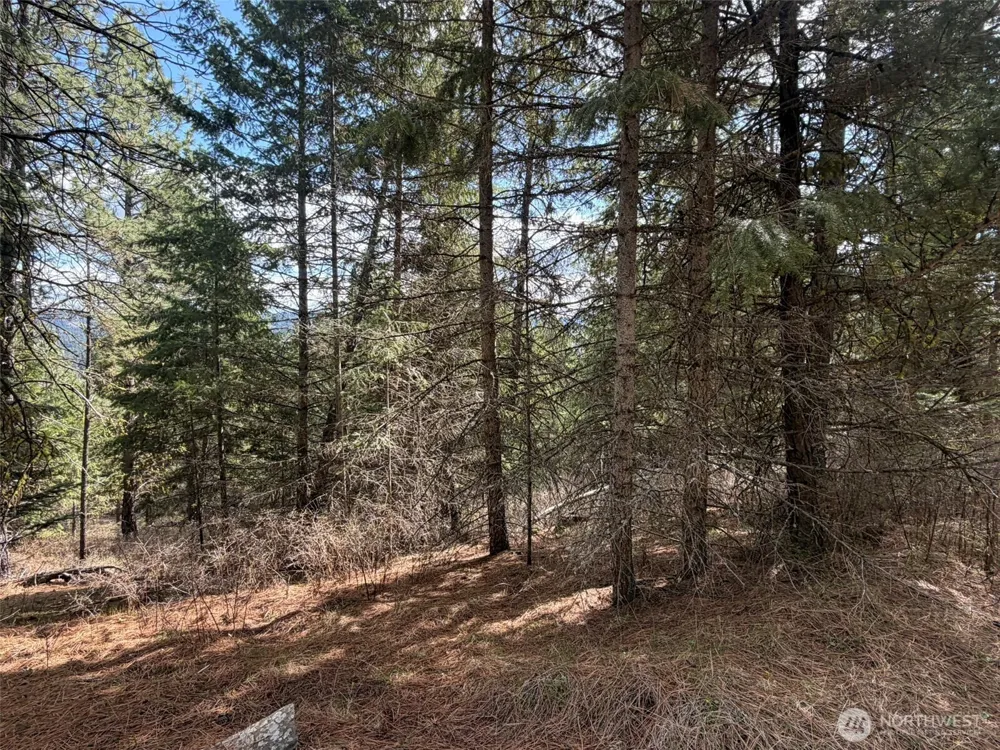 111 TBD W West Curlew Lake Road Republic, WA 99166