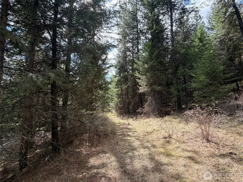 111 TBD W West Curlew Lake Road Republic, WA 99166