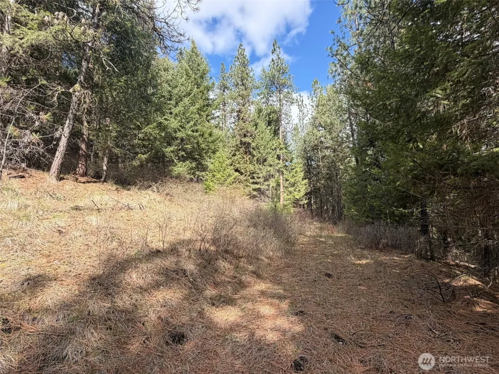 111 TBD W West Curlew Lake Road Republic, WA 99166