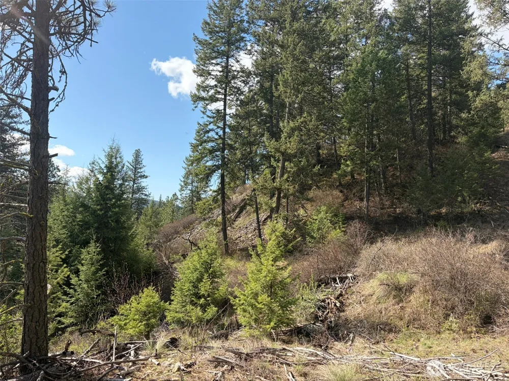 111 TBD West Curlew Lake Road Republic, WA 99166