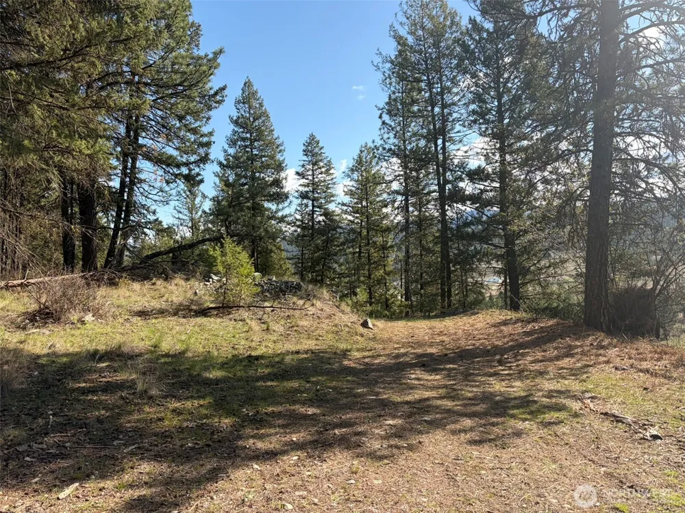 111 TBD West Curlew Lake Road Republic, WA 99166