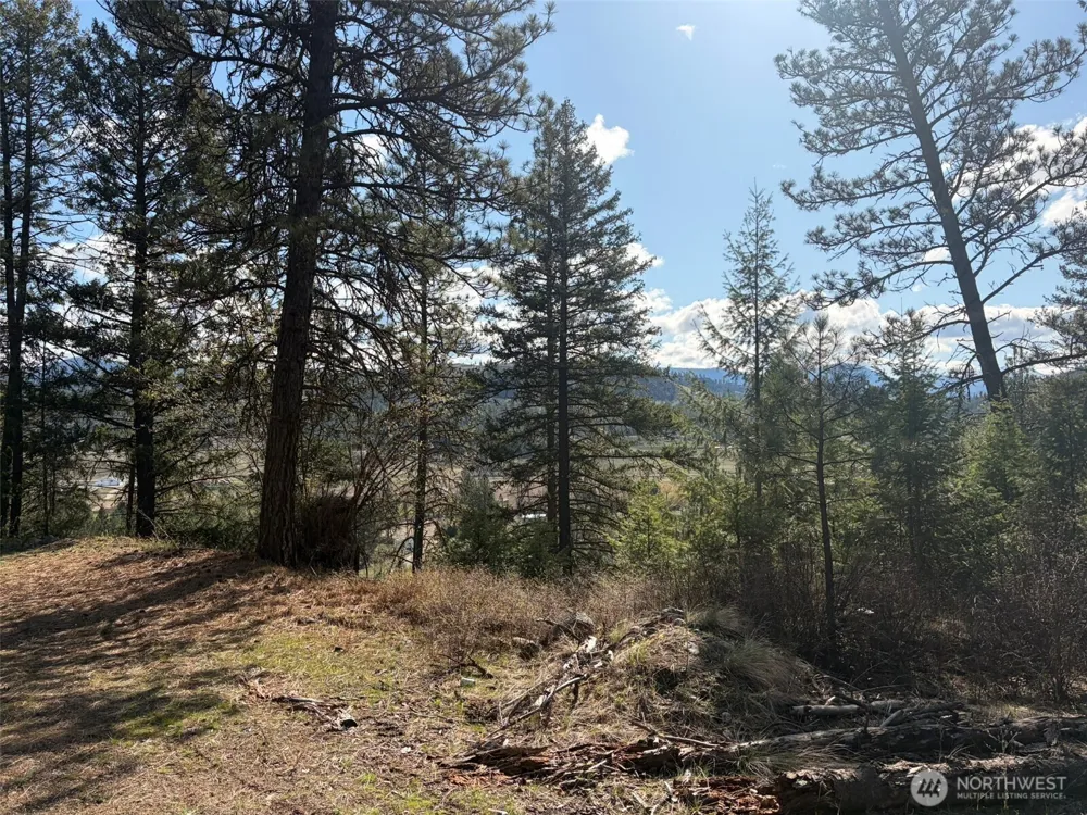 111 TBD West Curlew Lake Road Republic, WA 99166