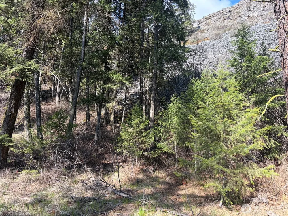 111 TBD West Curlew Lake Road Republic, WA 99166