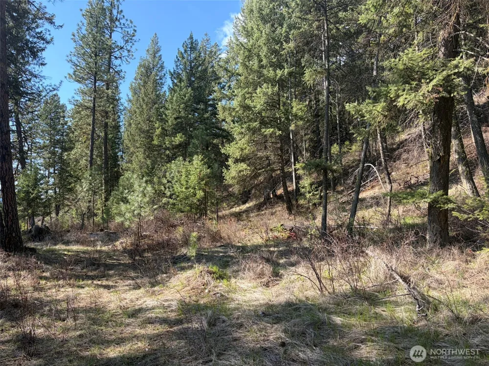 111 TBD West Curlew Lake Road Republic, WA 99166