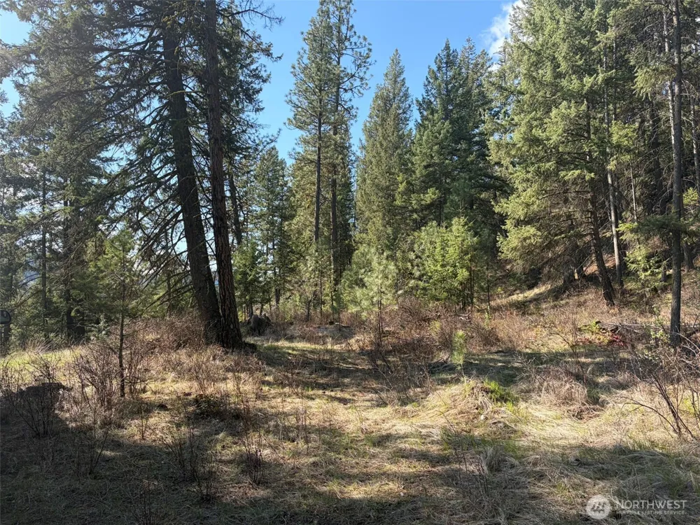 111 TBD West Curlew Lake Road Republic, WA 99166