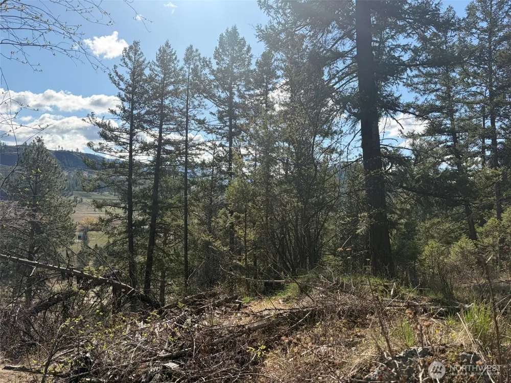 111 TBD West Curlew Lake Road Republic, WA 99166