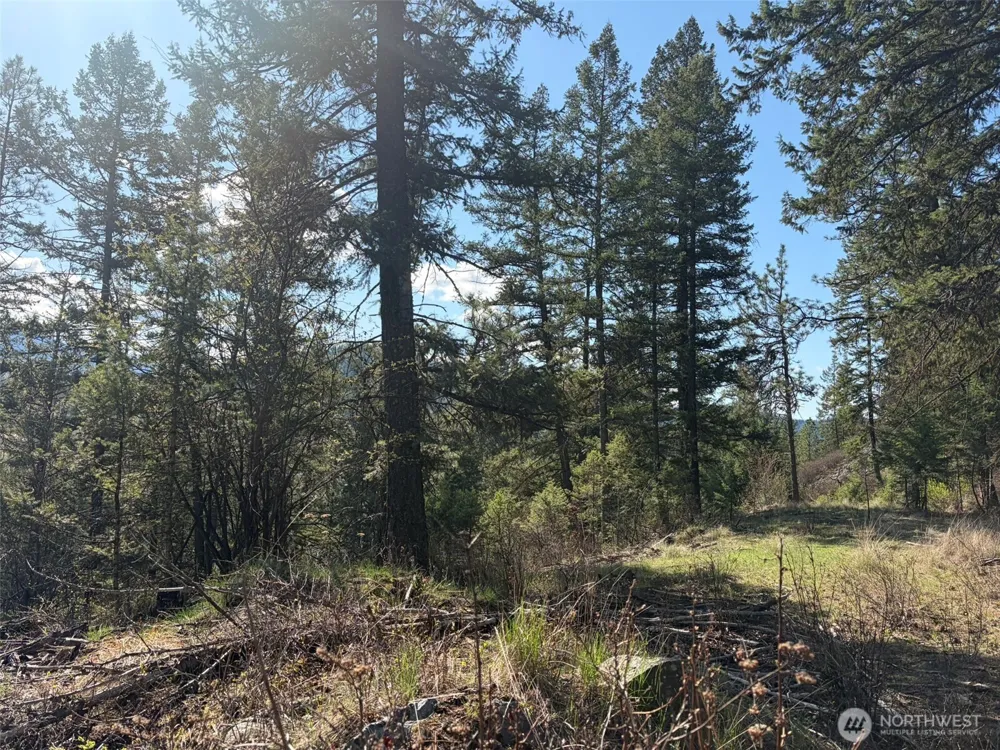 111 TBD West Curlew Lake Road Republic, WA 99166
