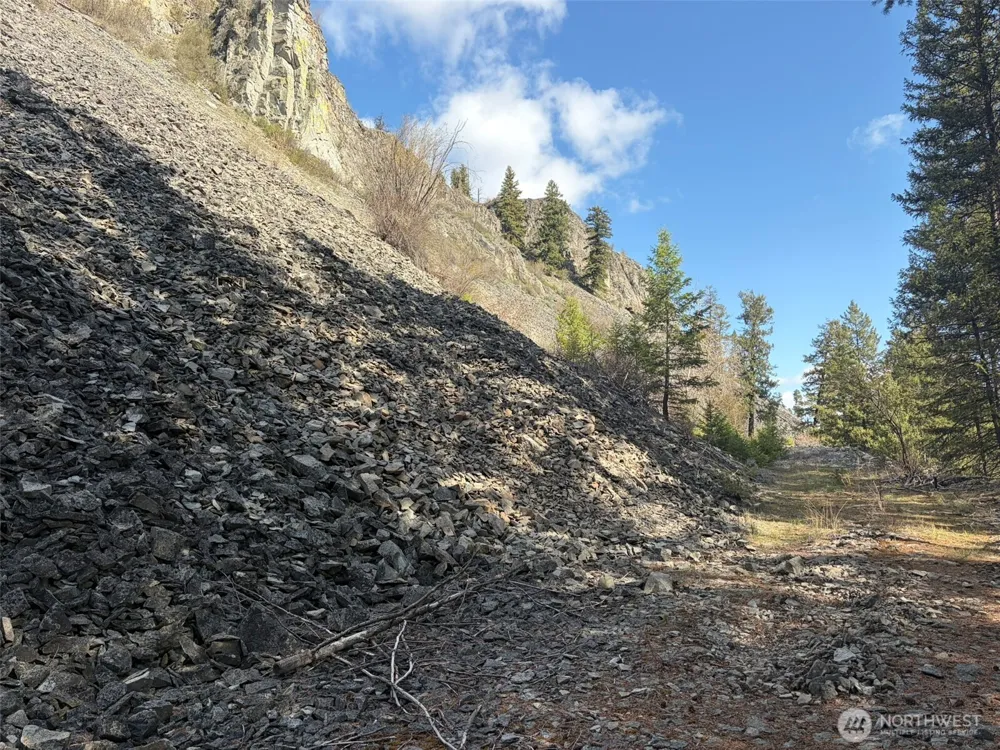 111 TBD West Curlew Lake Road Republic, WA 99166