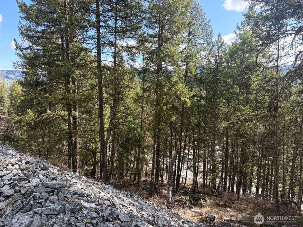 111 TBD West Curlew Lake Road Republic, WA 99166