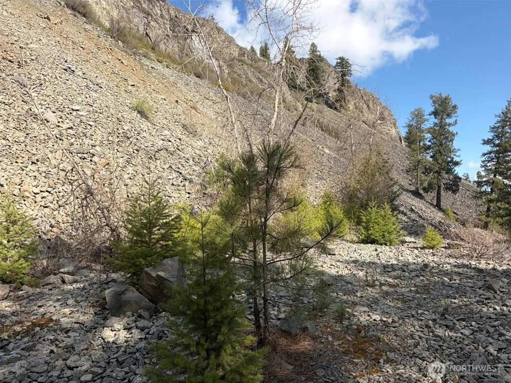 111 TBD West Curlew Lake Road Republic, WA 99166