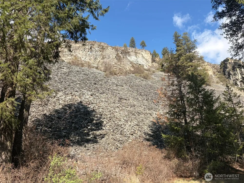 111 TBD West Curlew Lake Road Republic, WA 99166