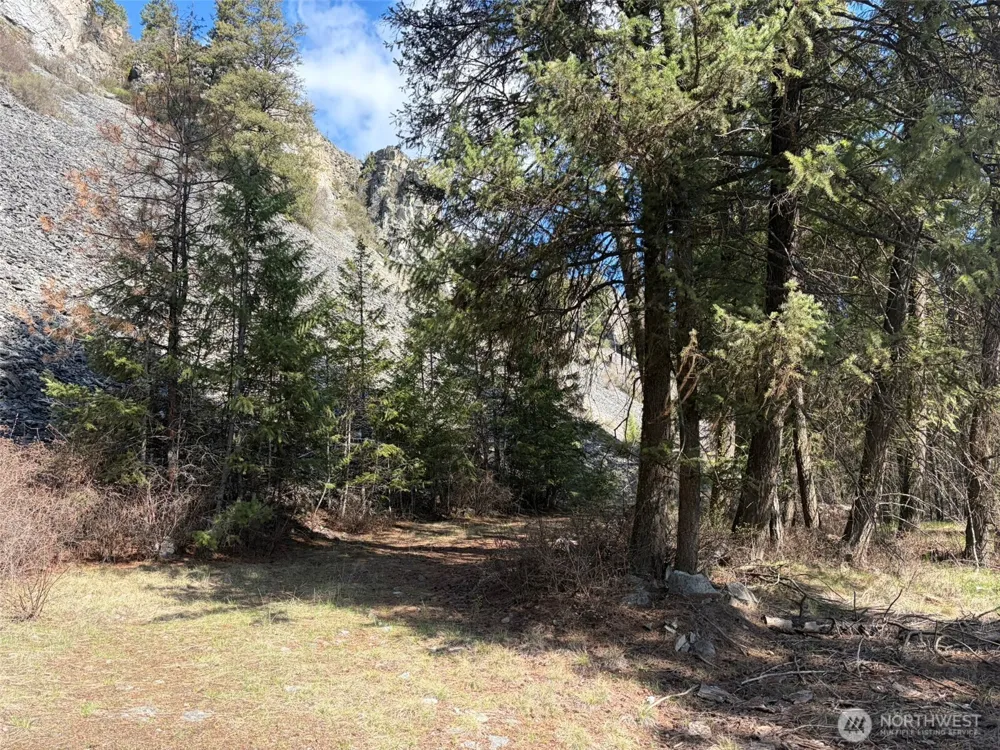 111 TBD West Curlew Lake Road Republic, WA 99166