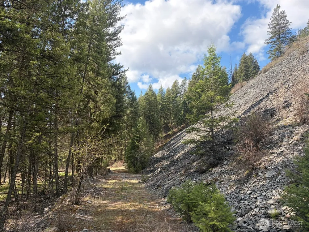 111 TBD West Curlew Lake Road Republic, WA 99166