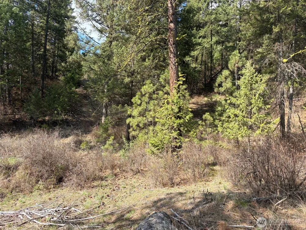 111 TBD West Curlew Lake Road Republic, WA 99166