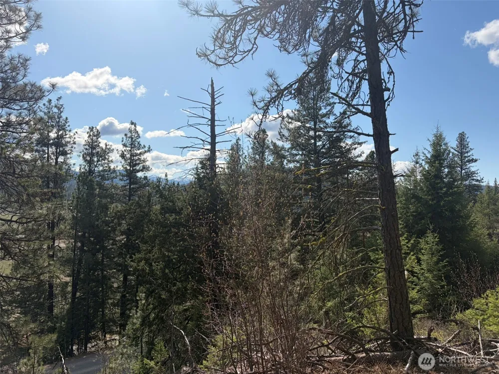 111 TBD West Curlew Lake Road Republic, WA 99166
