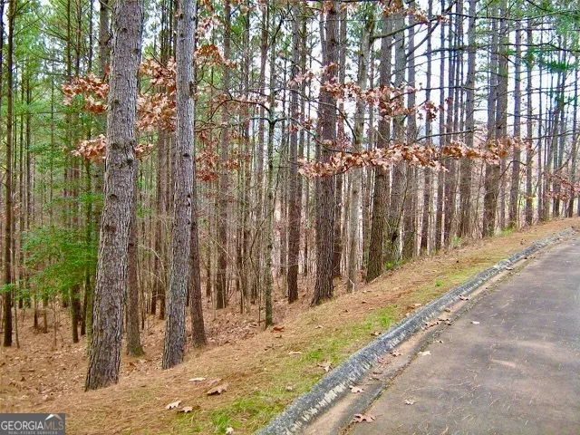 0 Golden Delicious RD Clarkesville, GA 30523