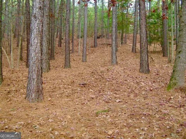0 Golden Delicious RD Clarkesville, GA 30523